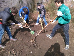 IMG_20160316_110421