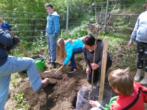 IMG_20150429_115322