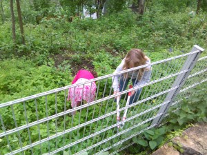 IMG_20160511_093113
