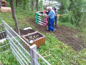 IMG_20160511_093117